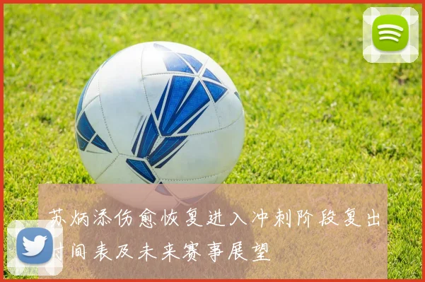 苏炳添伤愈恢复进入冲刺阶段复出时间表及未来赛事展望